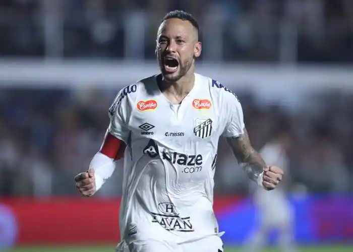 展现出极高 展现出极高