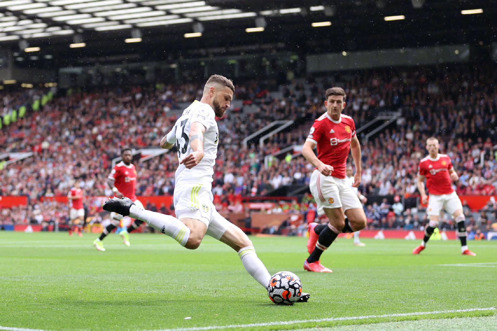 这一消息不 这一消息不